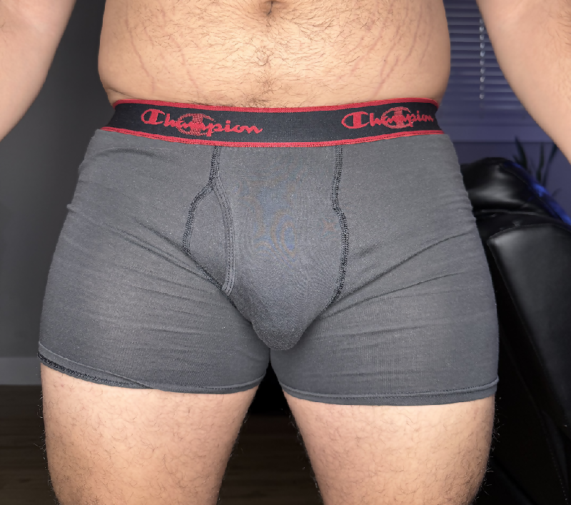 boxer